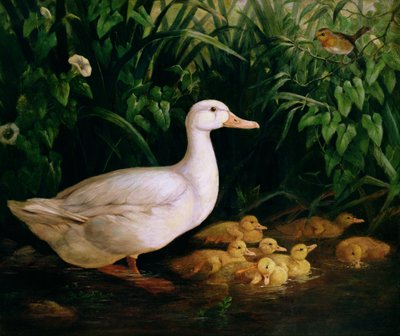 Duck and Ducklings, c.1890 by English School